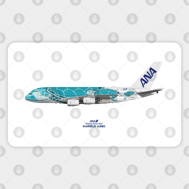 Illustration of ANA Airbus A380 - Flying Honu Kia Magnet by SteveHClark